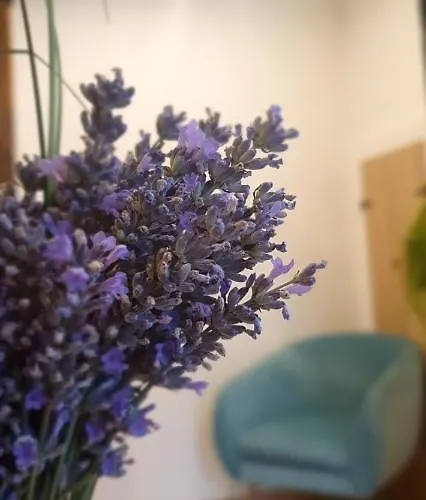 Διαμέρισμα Maison De Rue: *