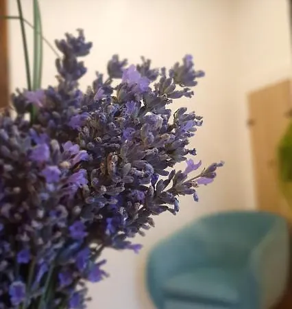 Appartamento Maison De Rue: *